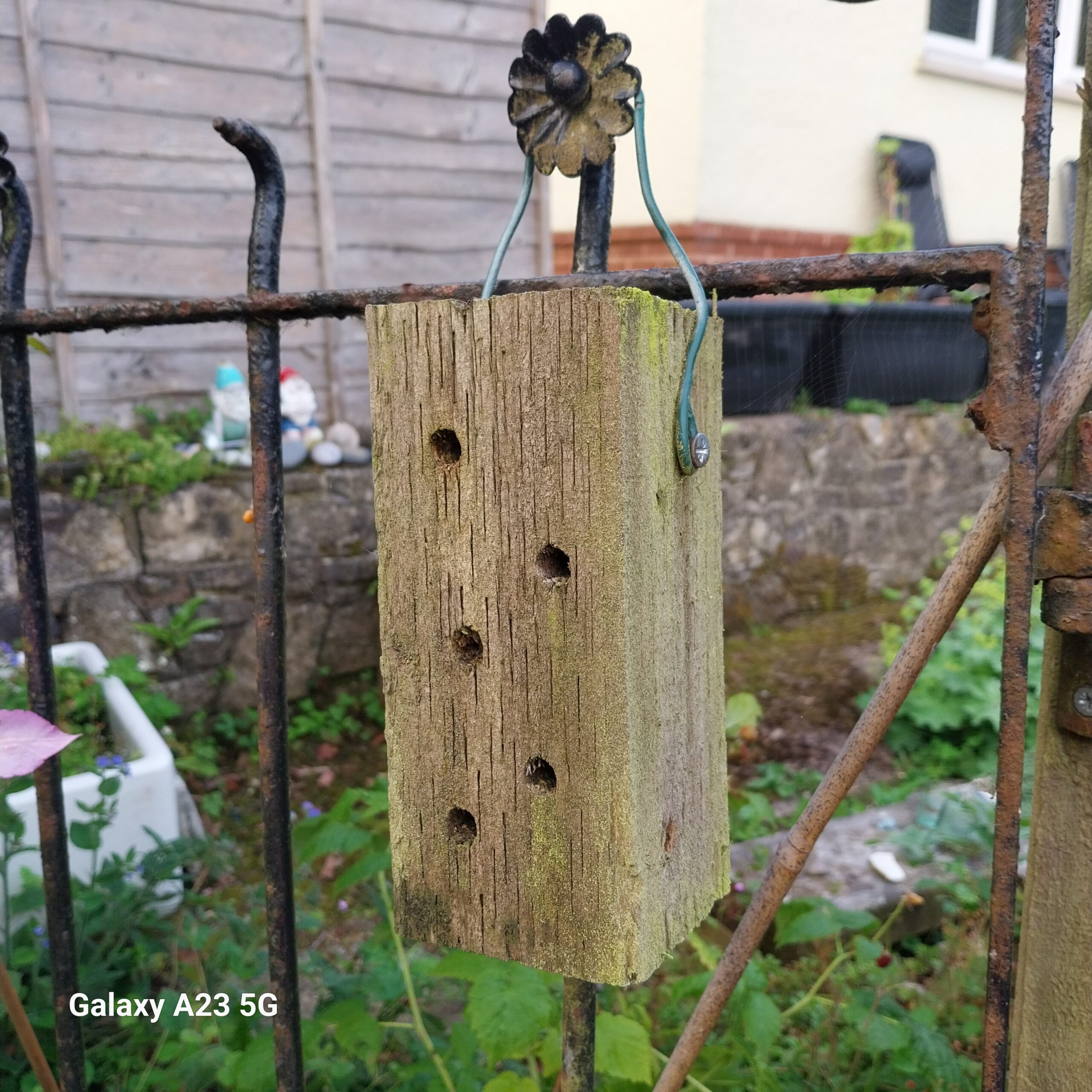 Bee homes scaled