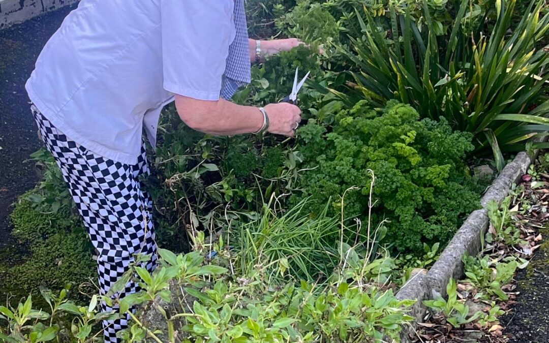 From Garden to Plate