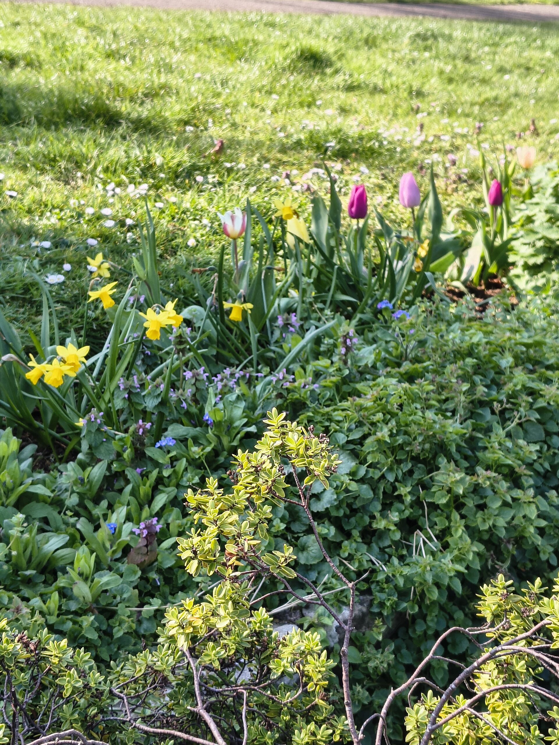 Flower beds in the park 1 scaled