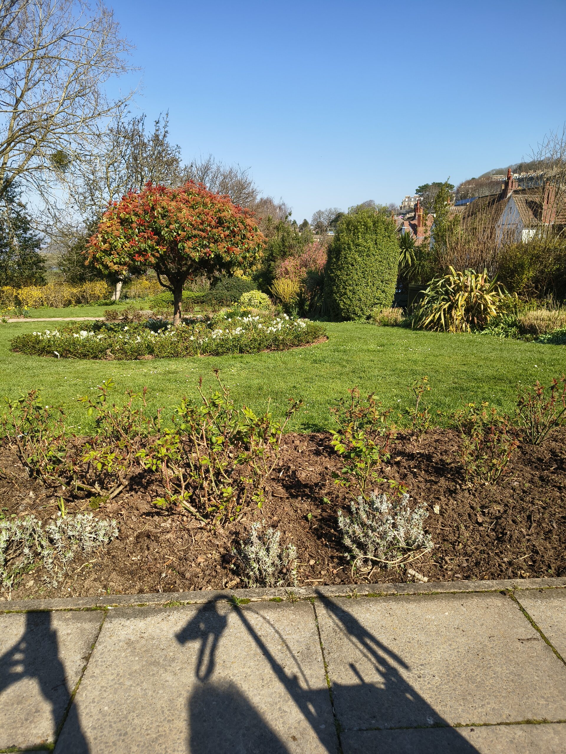 Flower beds in the park 2 scaled