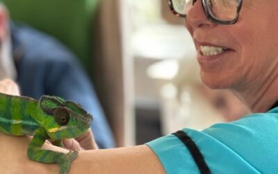 Residents Enjoy a Fascinating Visit from Reptiles and Exotics at Ashley House