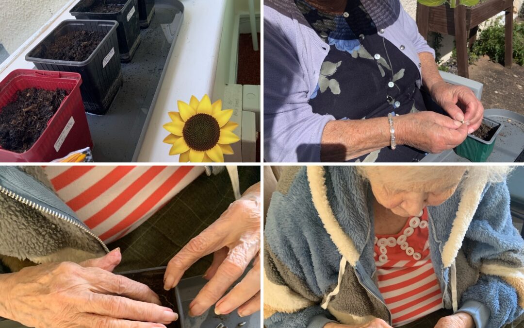 Sunshine, Songs and Sunflower Planting at Ashfield