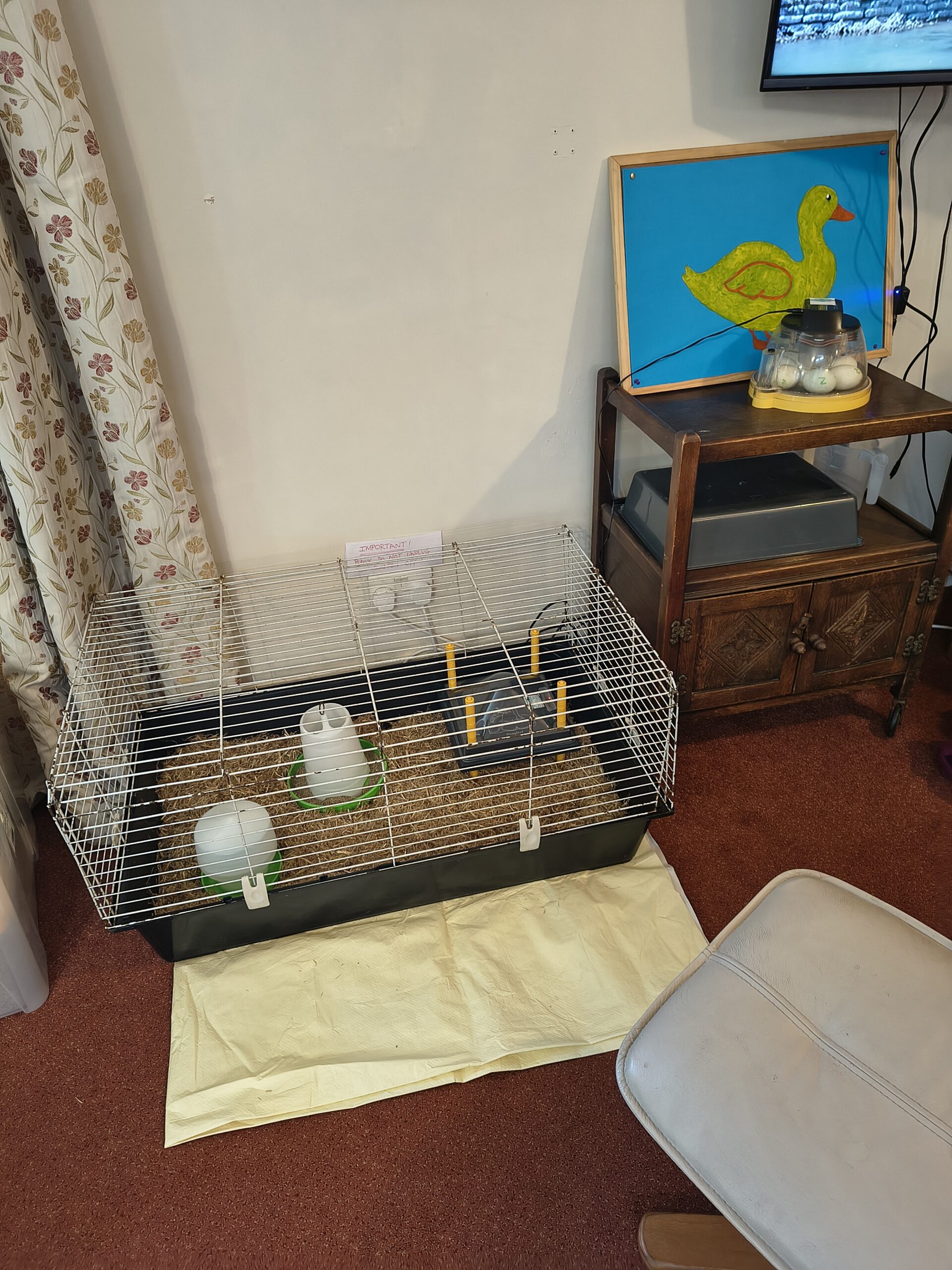 Finished cage with straw in the bottom and a feeder ready for the ducks scaled