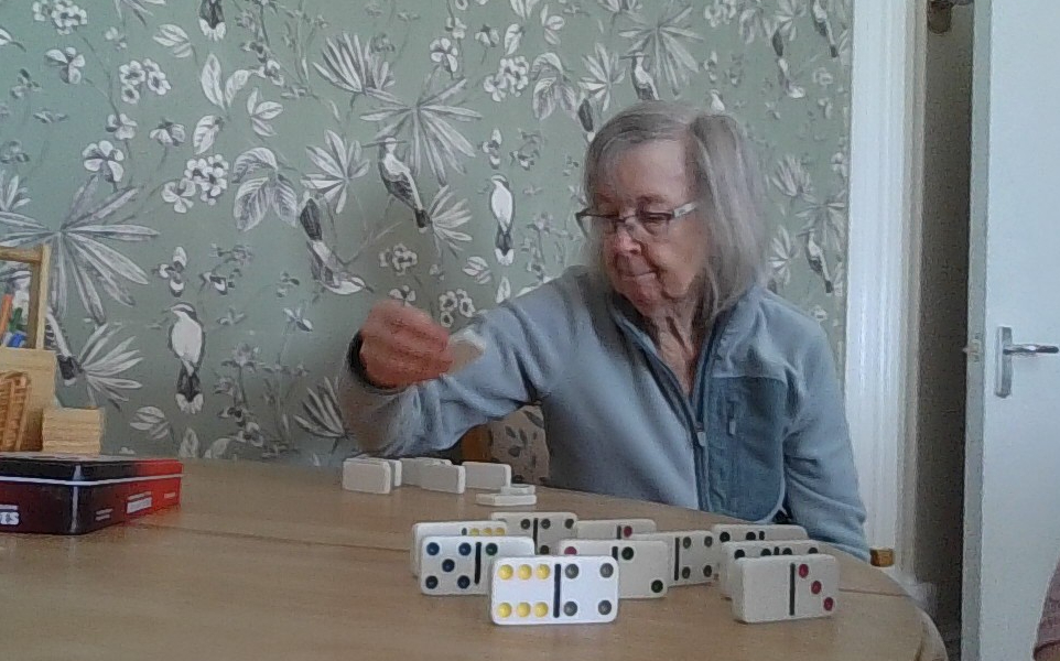 Dominoes Fun at Lake View