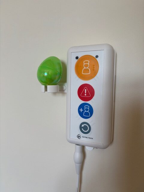 Green egg hidden on a wall bracket beside call button device rotated