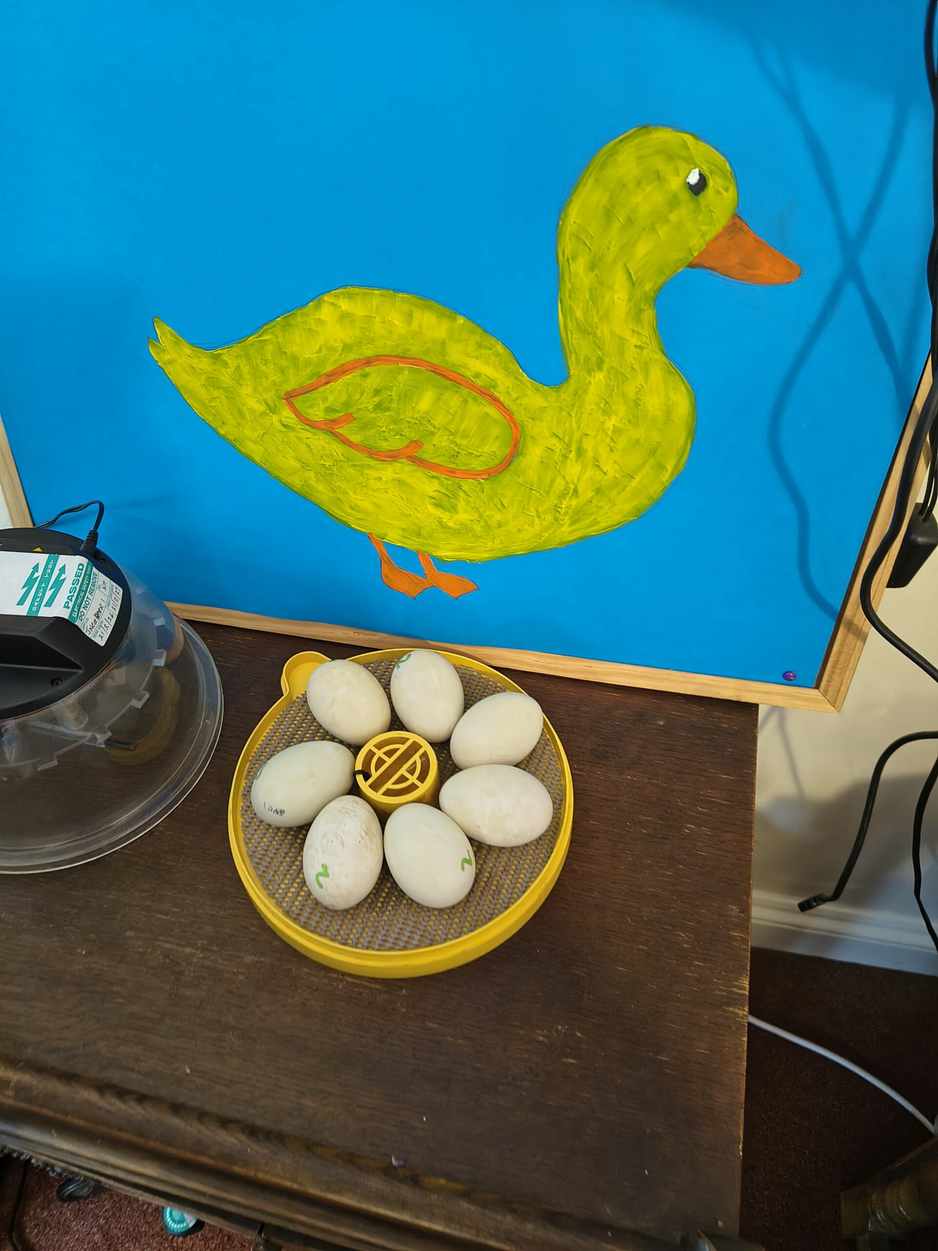 Incubator with seven eggs and a painting of a duck behind scaled