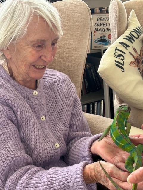 Jean holding a Chameleon in her open hands Jean holding a Chameleon in her open hands