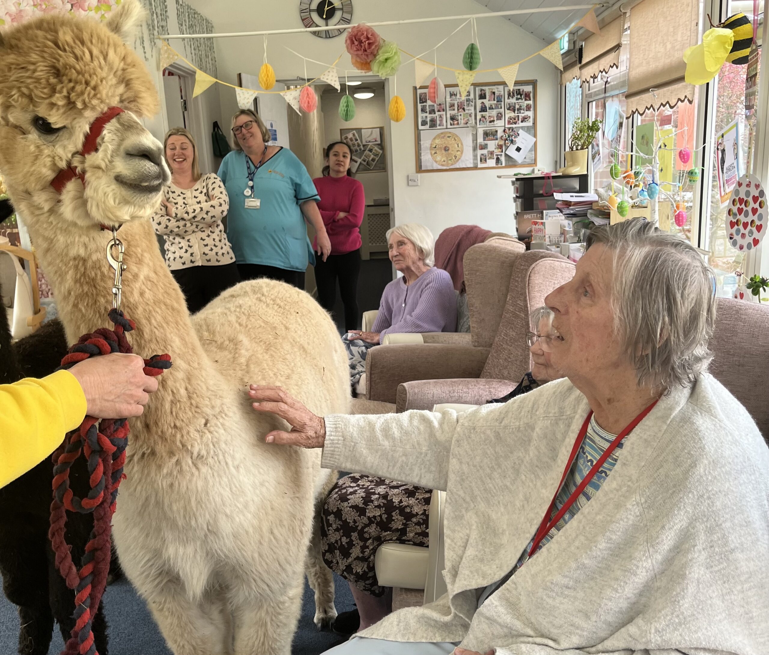 Residents with the alpacas 5 scaled
