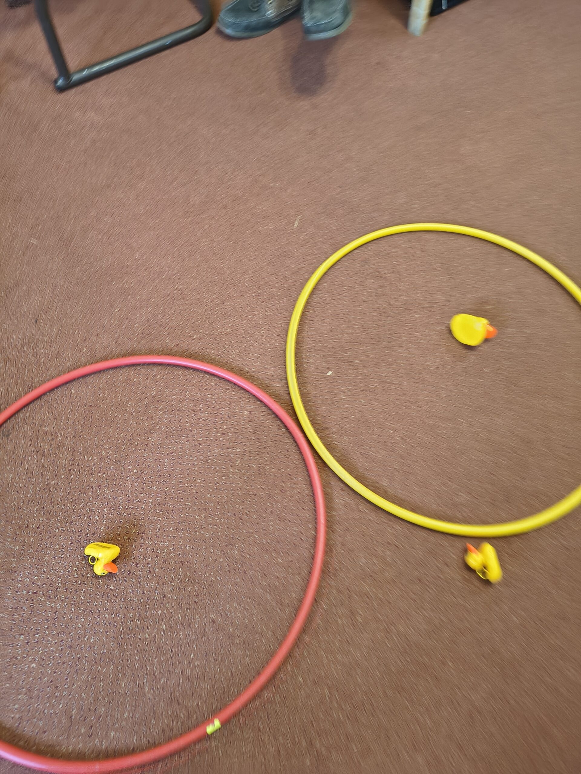 Two hoops on the floor showing two ducks in and one out Two hoops on the floor showing two ducks in and one out scaled