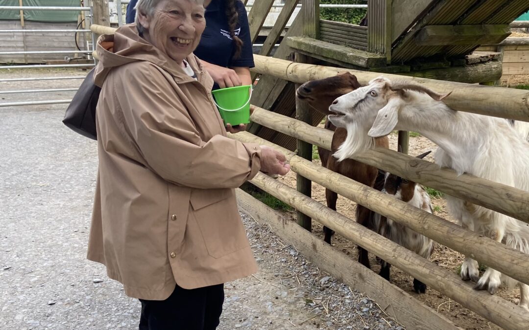 Kenwyn Residents Enjoy a Sunny Trip to Woolley Animals