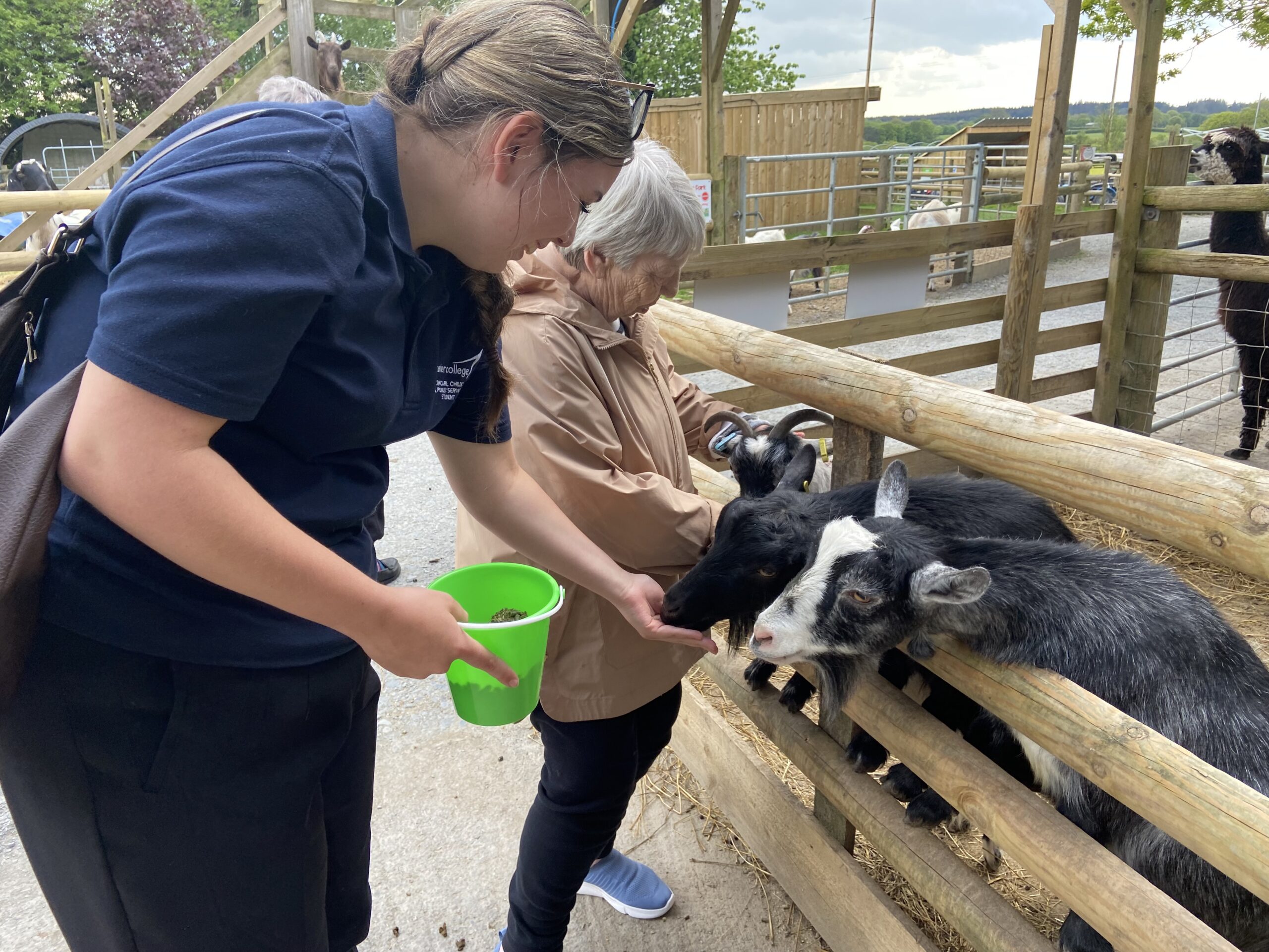 Amber and Ange feeding the goats scaled