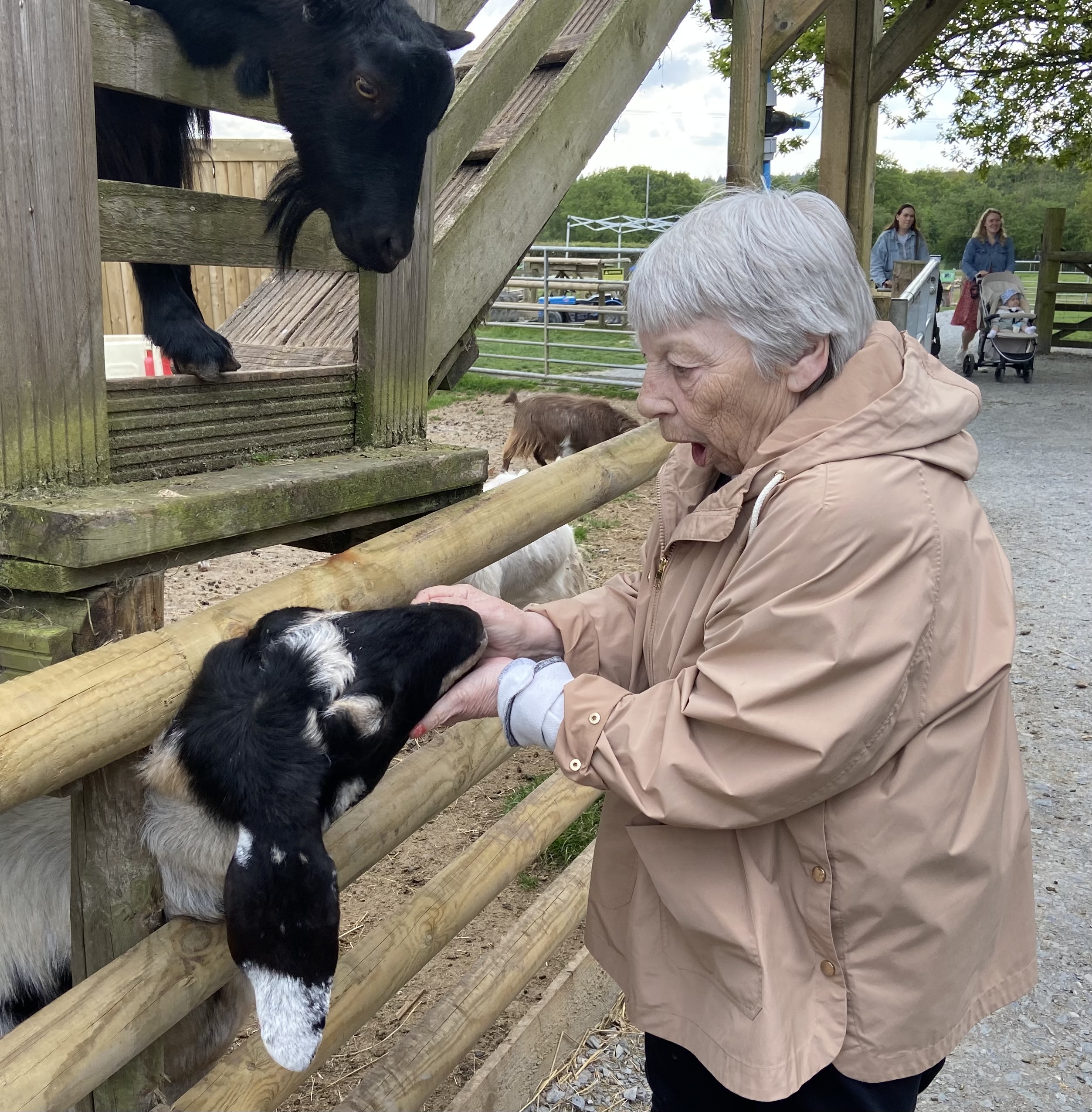 Ange stroking a goat