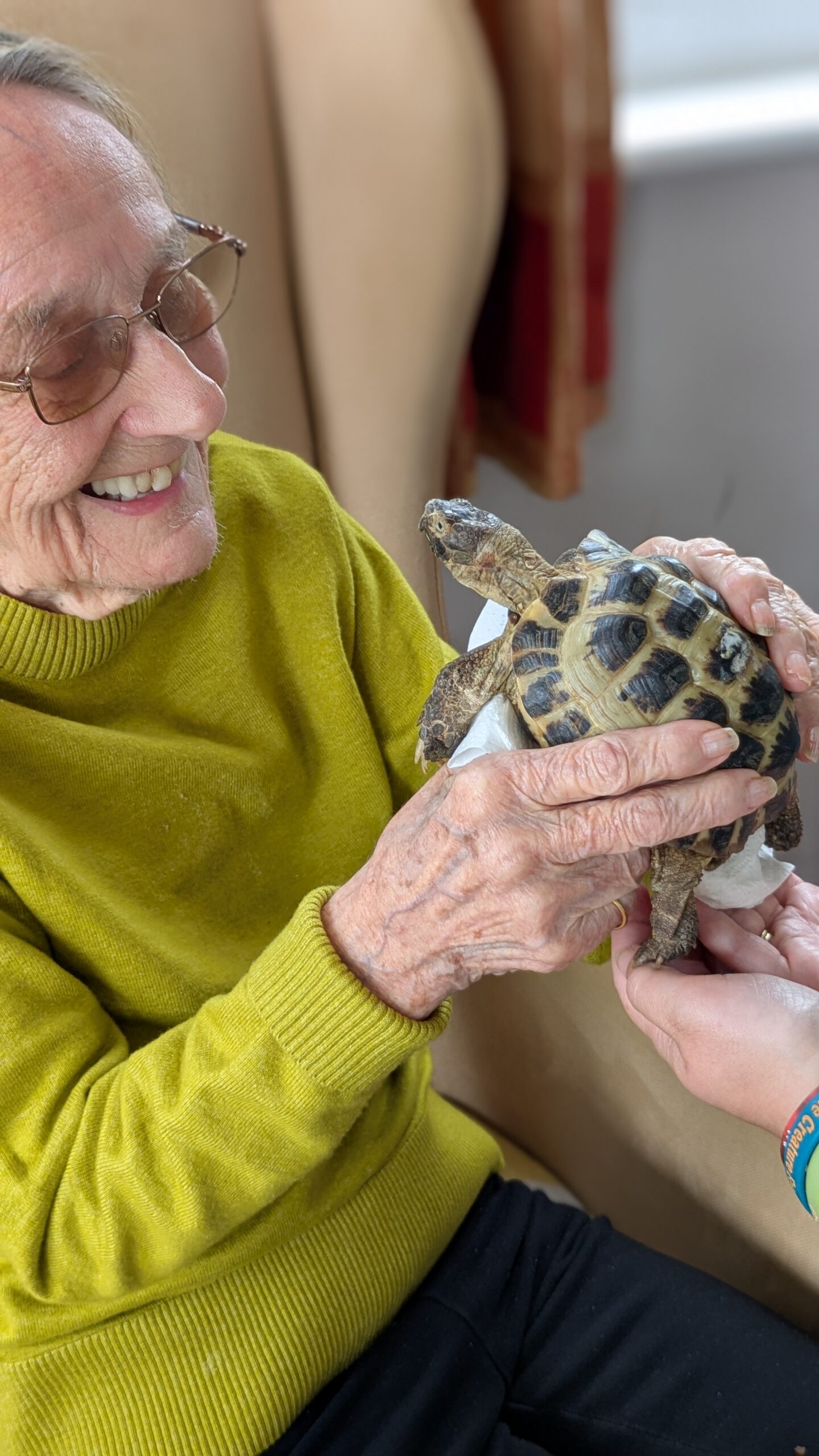Cecily holding a tortoise looking at its face scaled