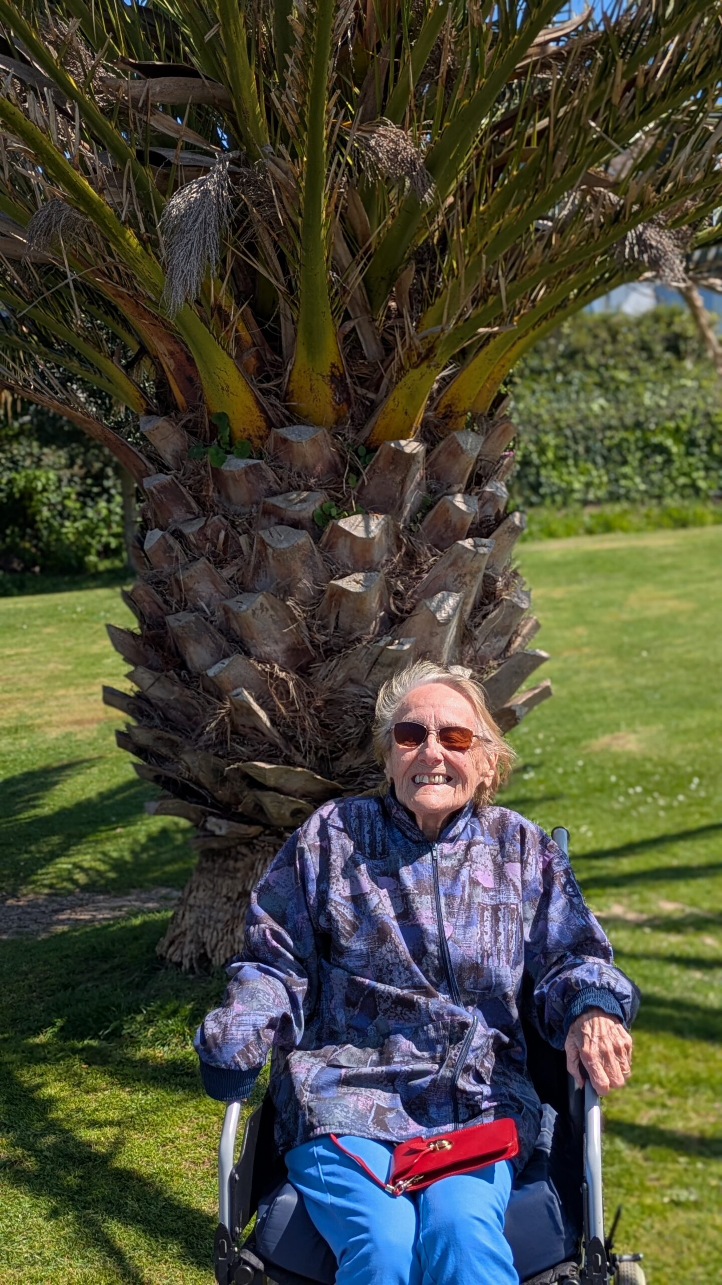 Cecily seated in her wheelchair in front of a massive palm tree scaled