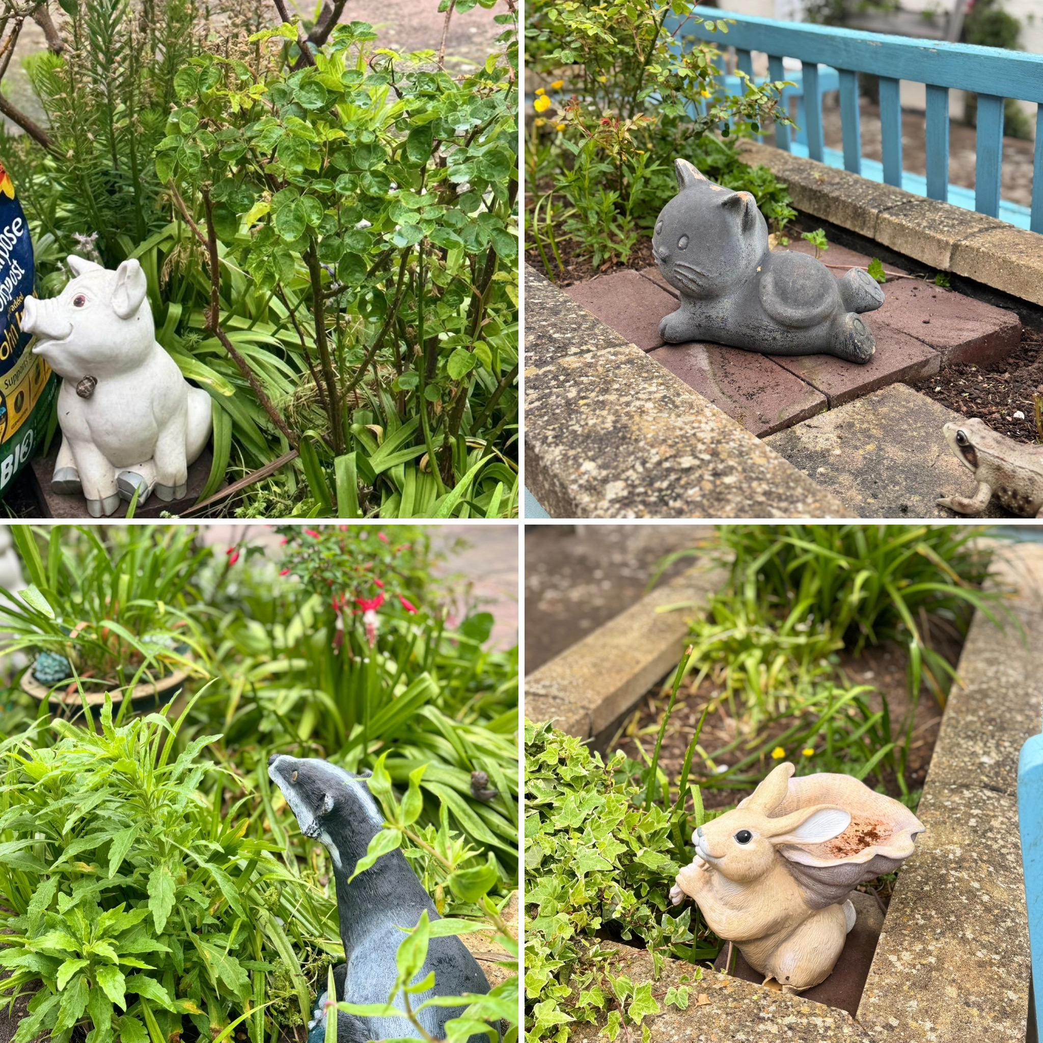 Collage of 4 photos of garden ornaments pig cat badger and rabbit hiding in the shrubs
