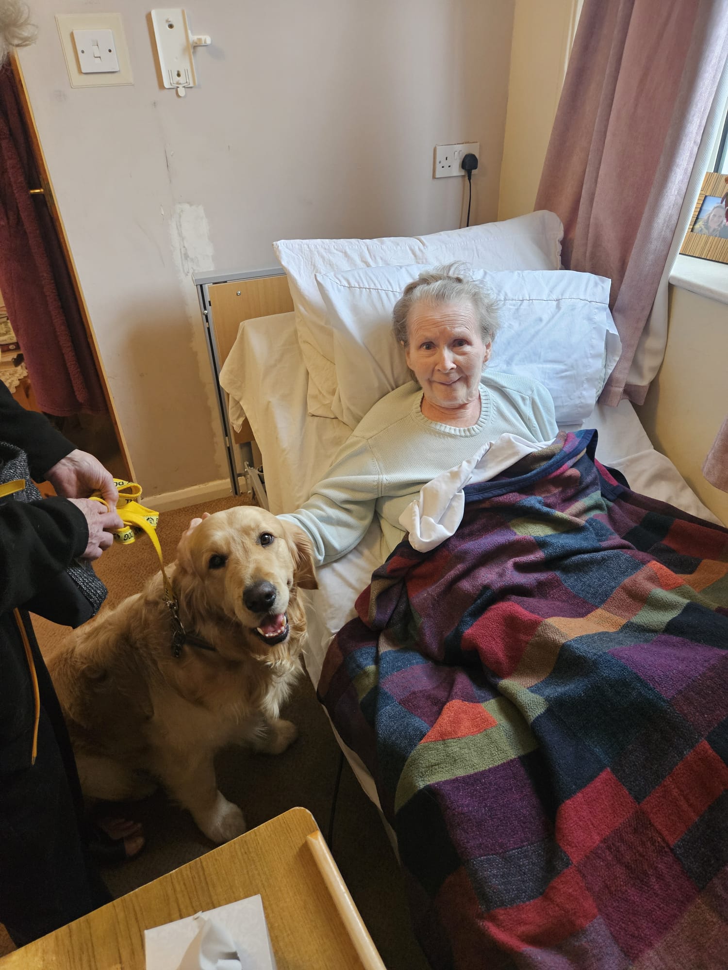 Female resident in bed with Bimble beside her while she strokes his head