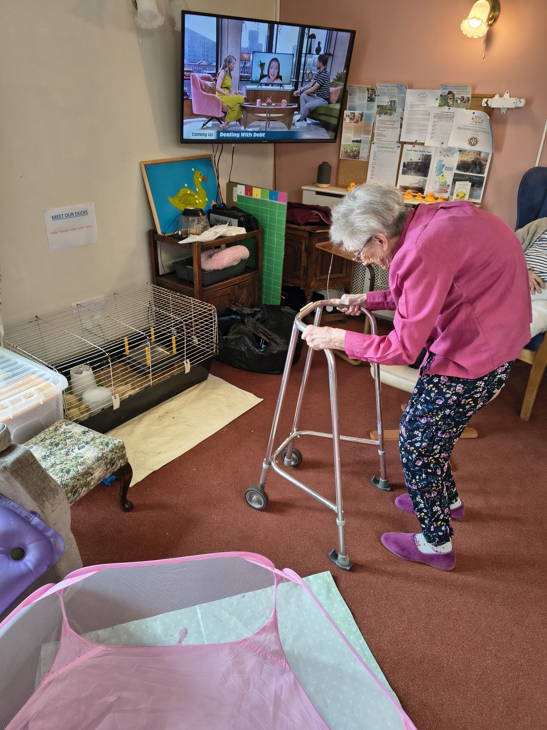 Female resident with walker going to see the ducklings scaled