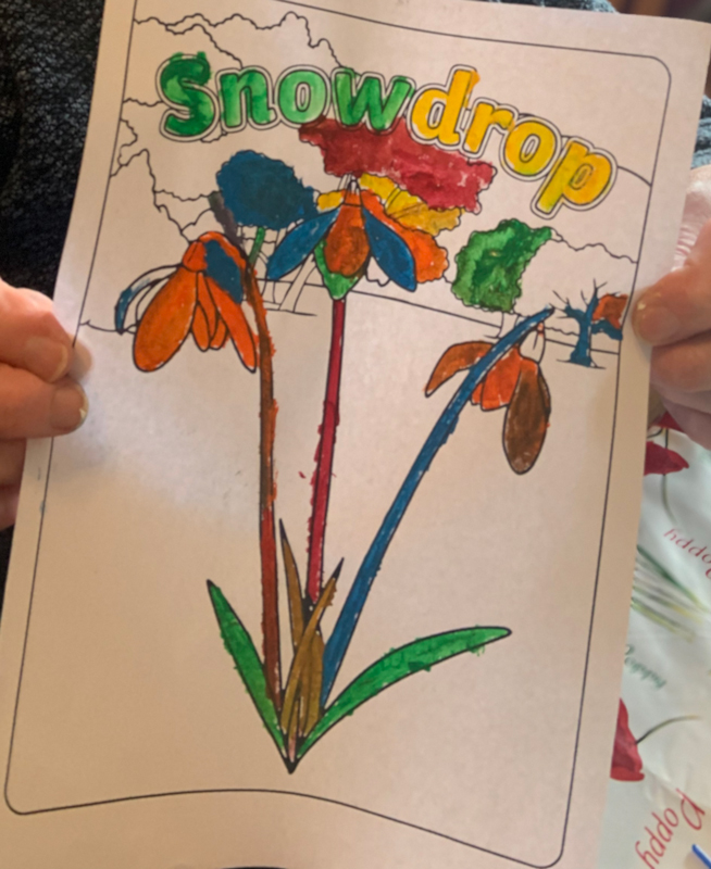 Finished colourful Snowdrop picture