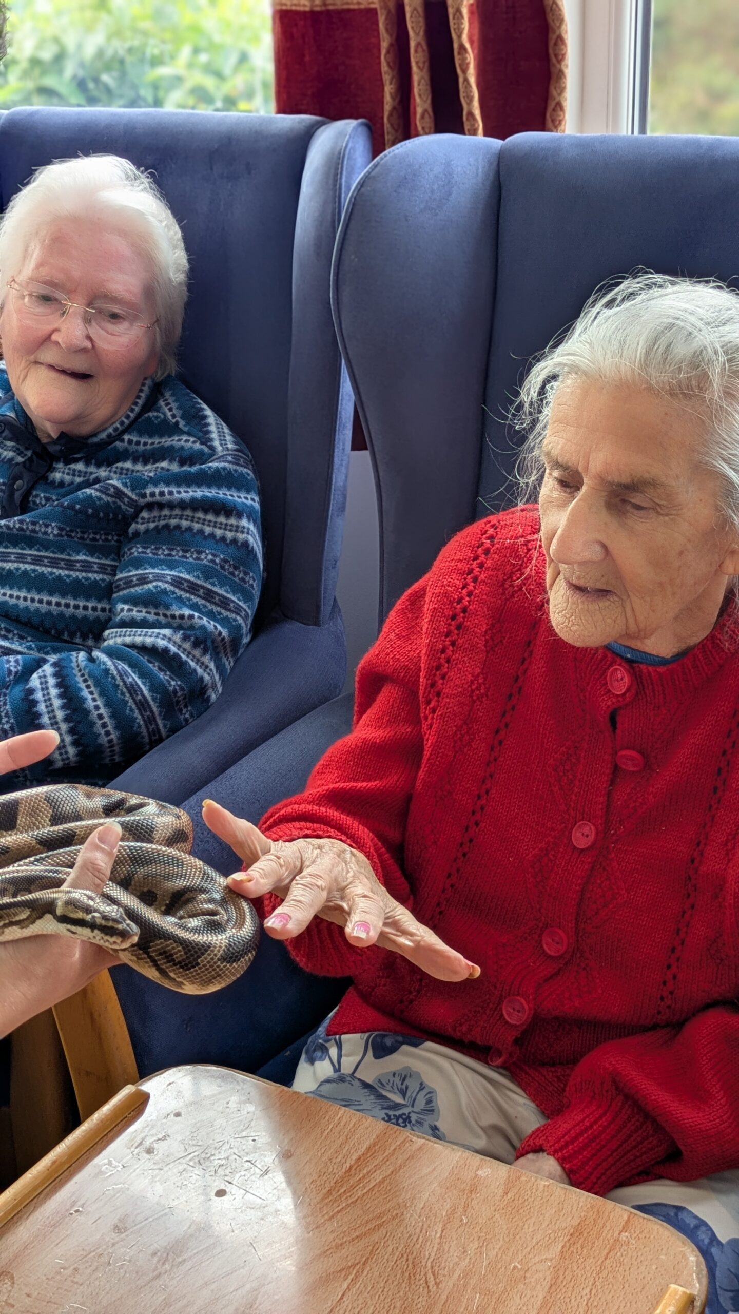 Ginny stroking a python scaled