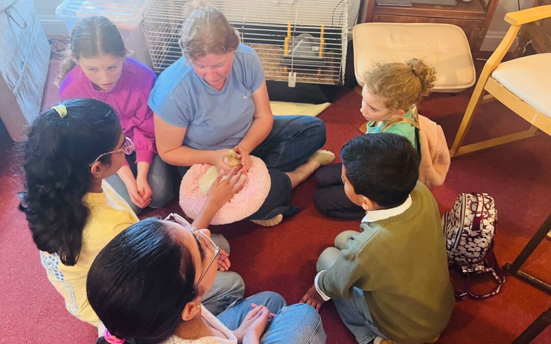 Families and Friends Enjoy Duckling Visits at Cambrian Lodge
