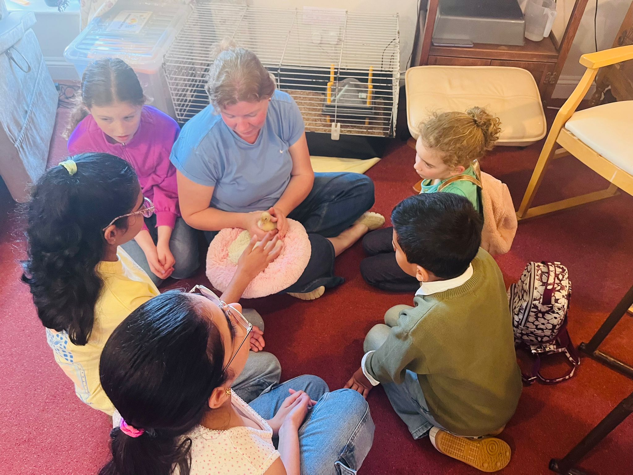 Group of children gathered around a carer holding a duckling on a pink fluffy pillow