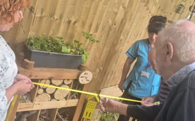 The Manor House Celebrates Garden Party and Air Bee n Bee Opening