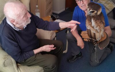 Bill the Owl Brings Smiles to The Manor House