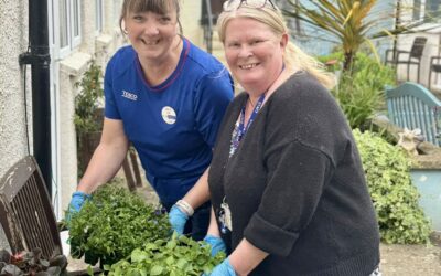 Ashfield Garden Project Gets Off to a Blooming Start