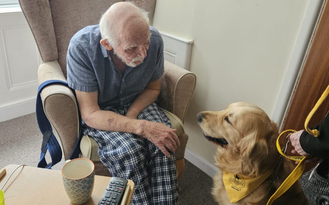 Warm Welcome for Bimble at The Manor House