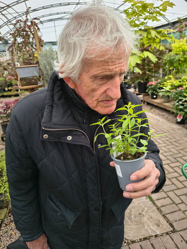 Male resident smelling a herb plant