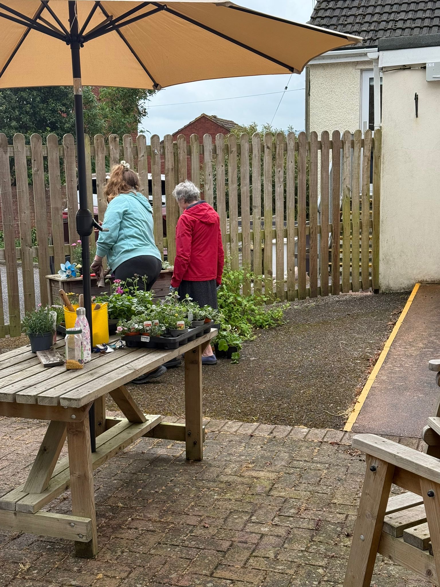 Marj and a carer arranging plants around the courtyard ready for planting