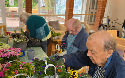 The Firs in Bloom for Chelsea Flower Show and World Bee Day