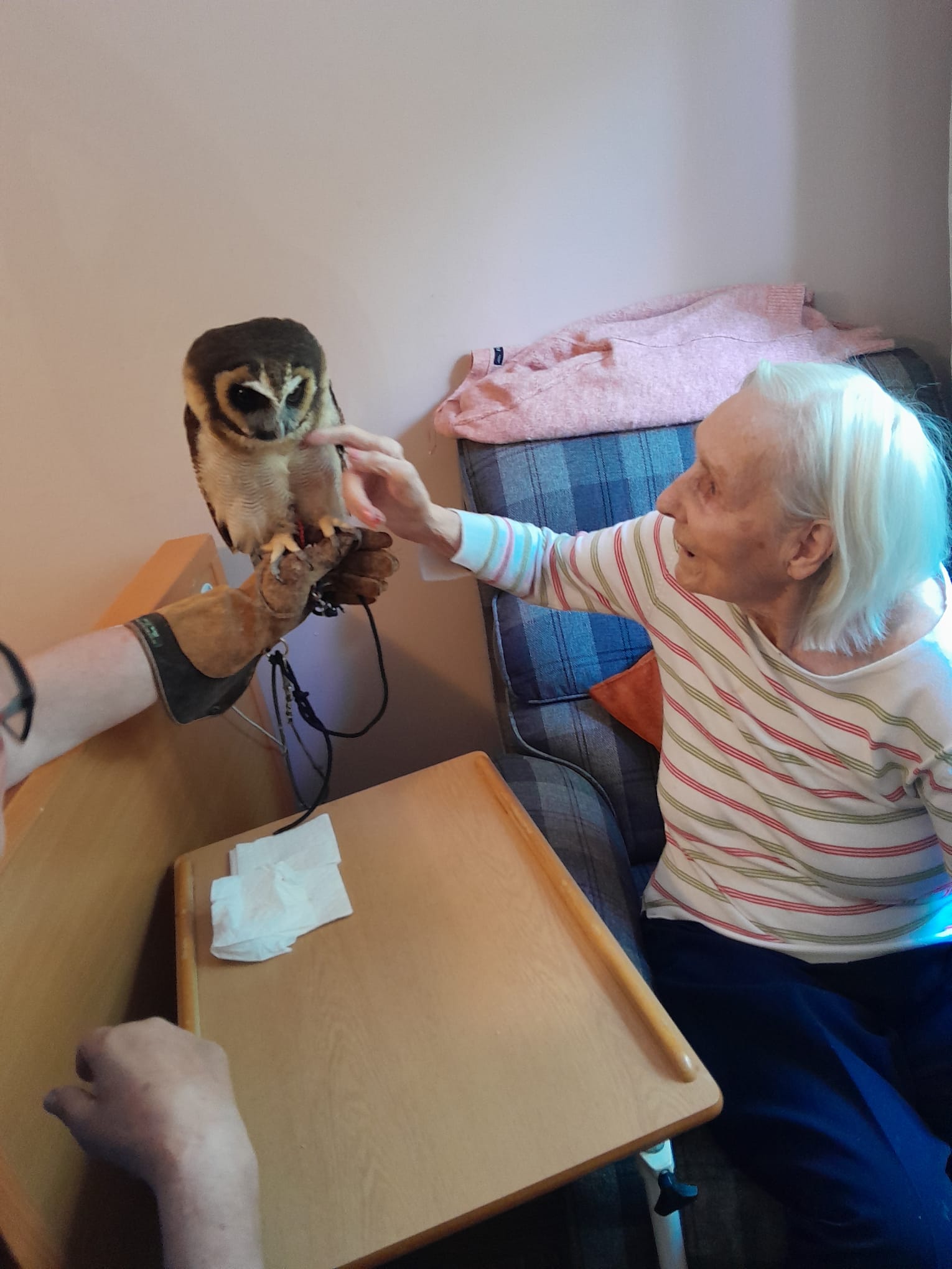 Muriel seated whilst stroking Bill the Owls chest