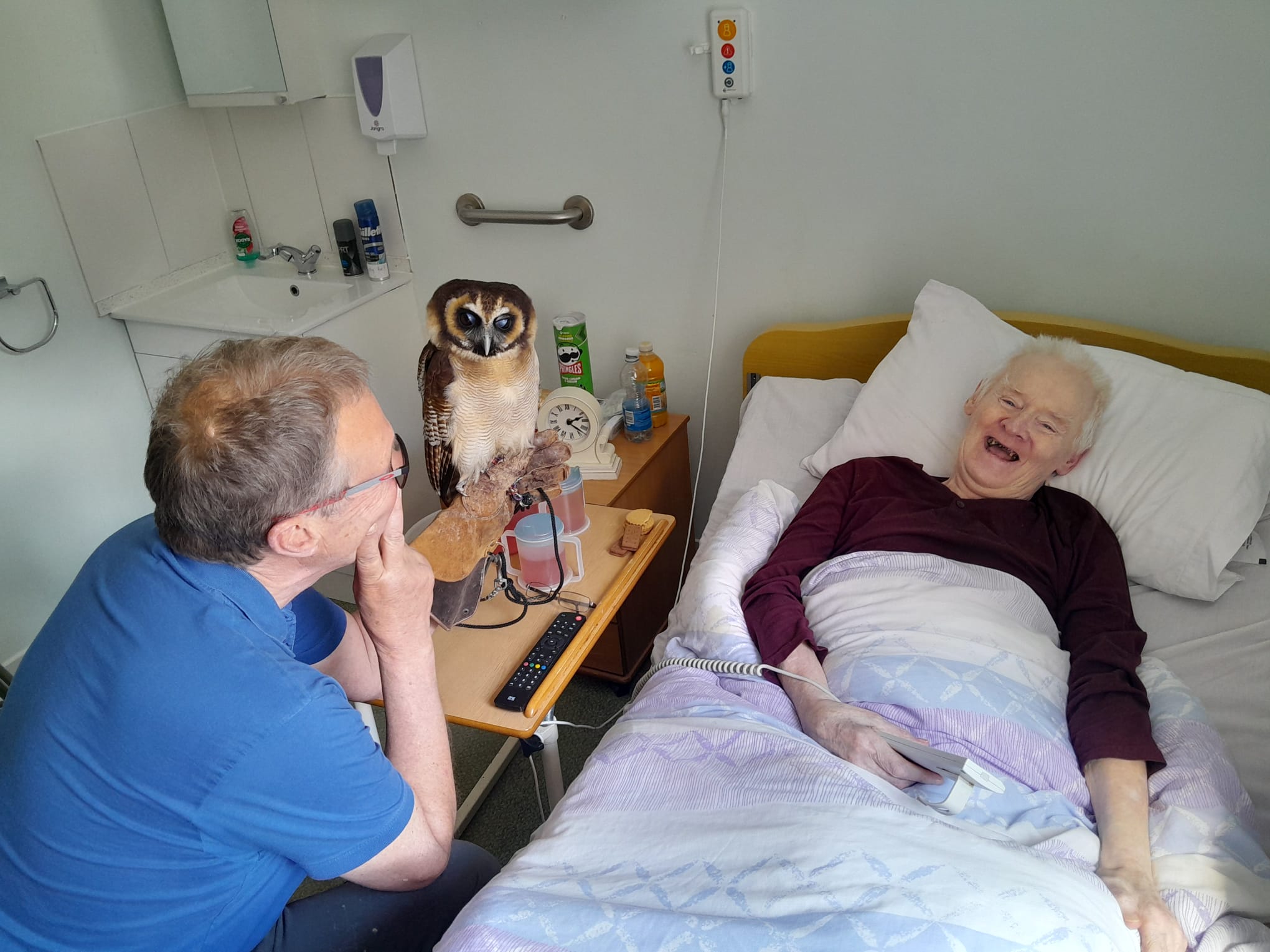 Murphy laughing in his bed being shown Bill the Owl