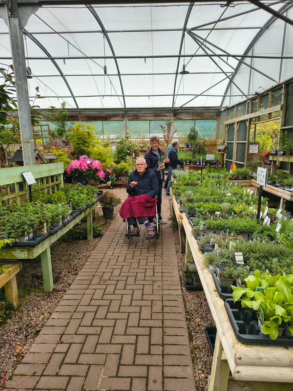 Resident in a wheelchair looking at the plants