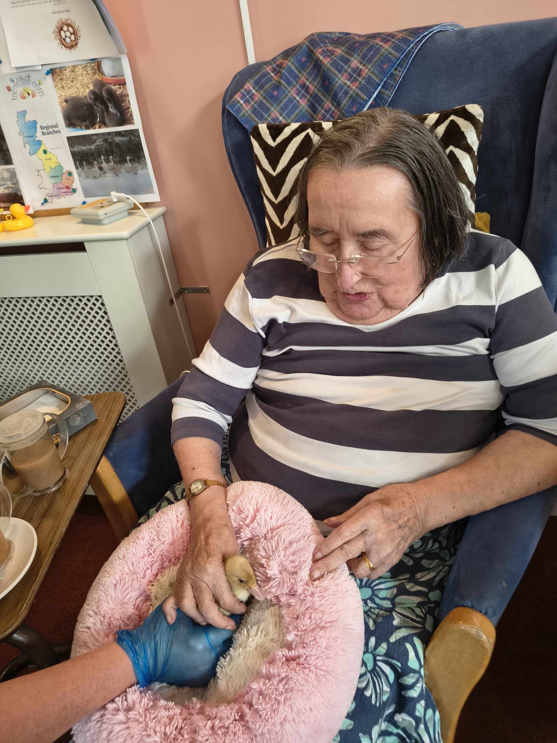 Residents and staff holding and stroking ducklings on the pink fluffy pillow 1 scaled