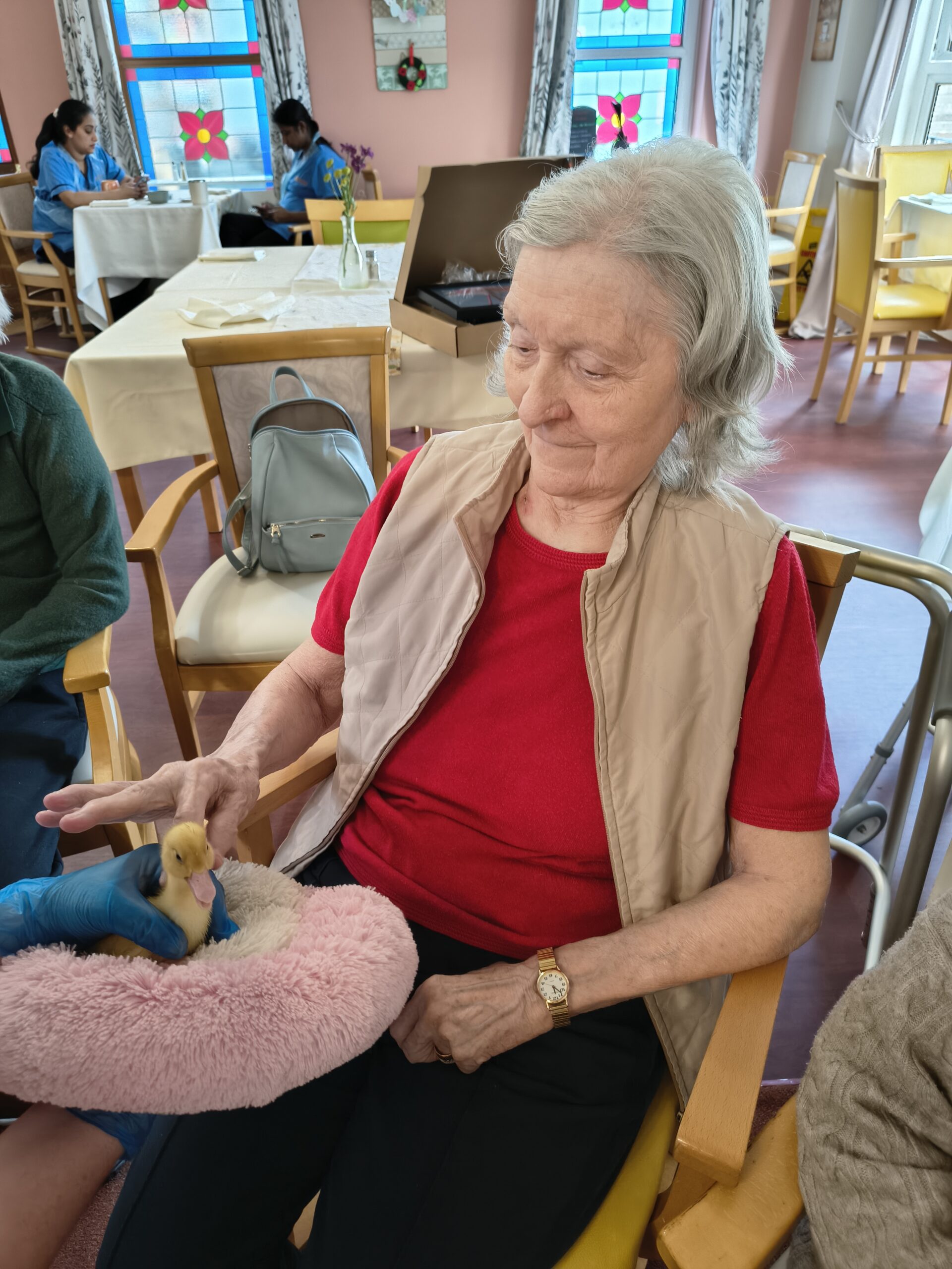 Residents and staff holding and stroking ducklings on the pink fluffy pillow 5 scaled