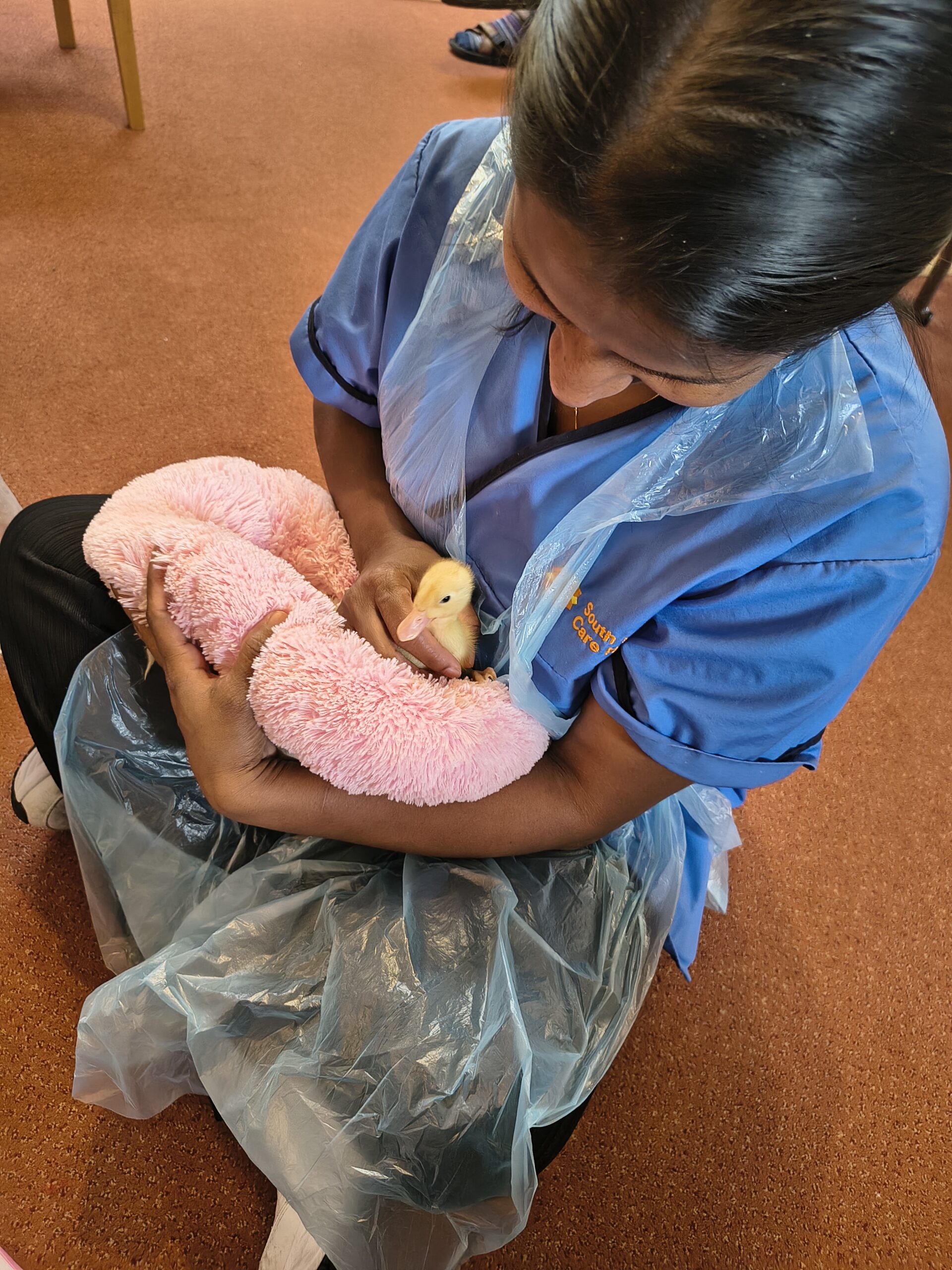 Residents and staff holding and stroking ducklings on the pink fluffy pillow 7 scaled