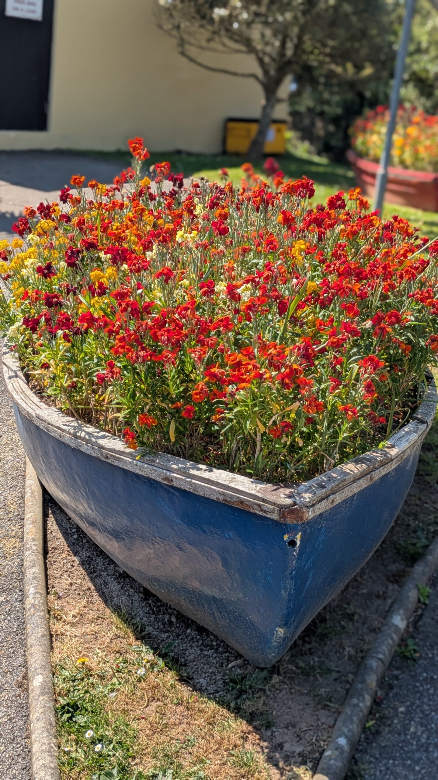 Rowing boat filled with red and orange flowers scaled