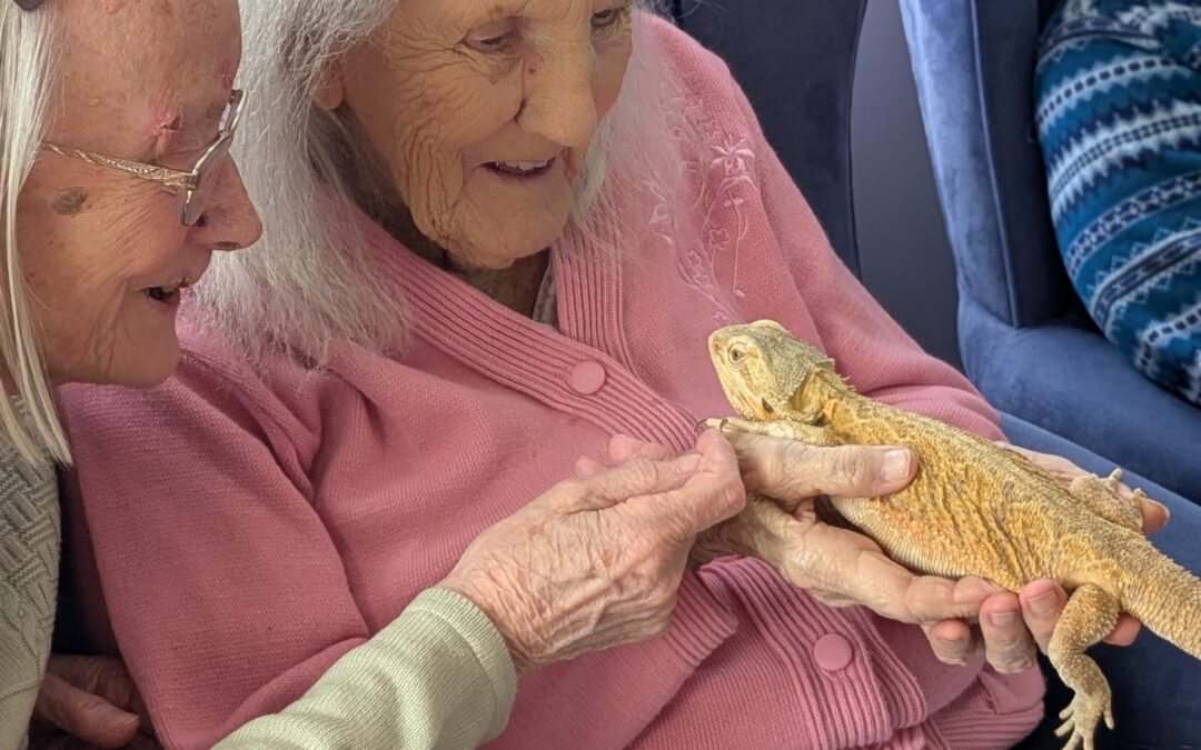 Wild Celebration at Lavender Court for Sir David Attenborough’s 100th Birthday