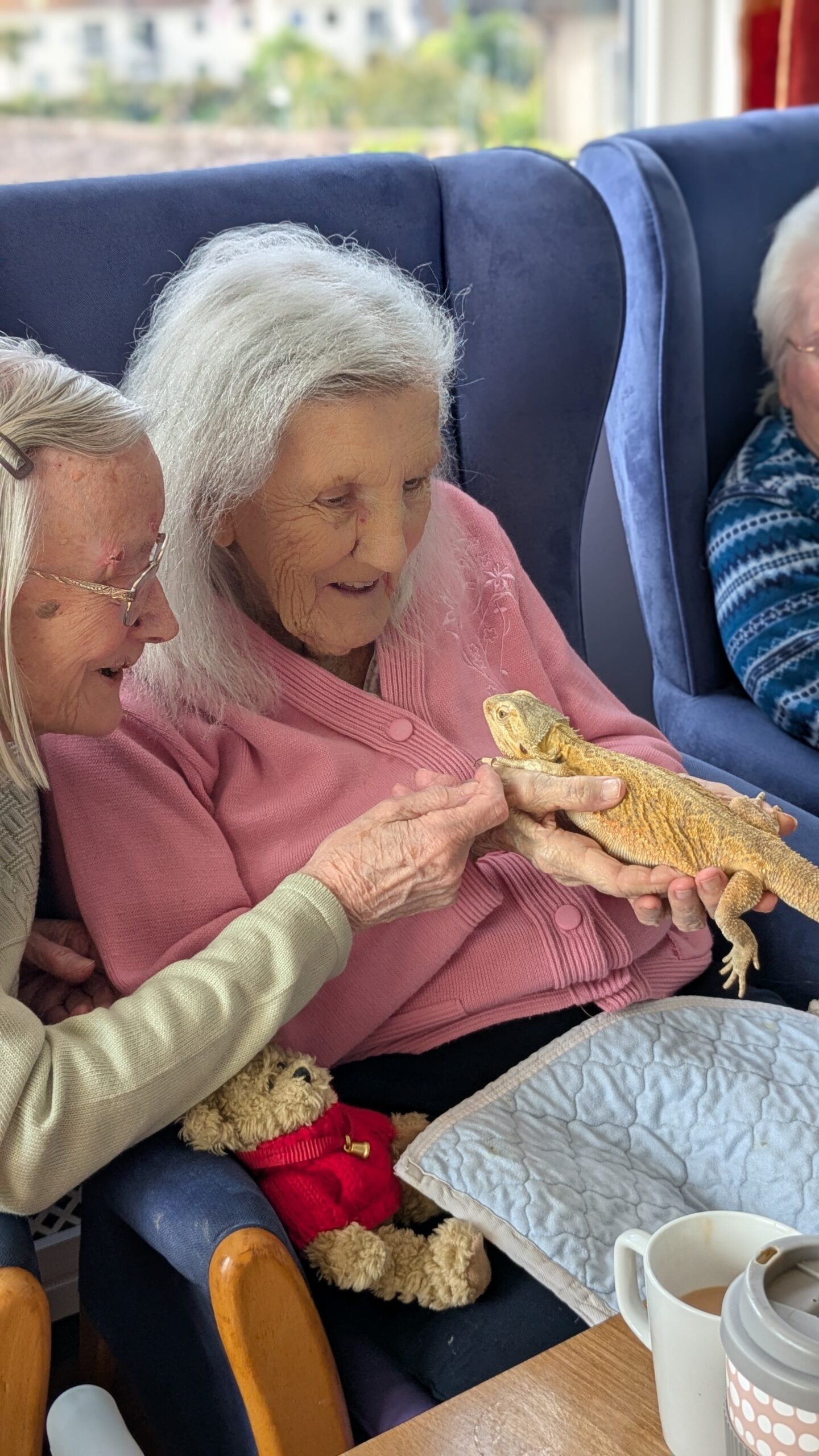 Ruth holding a bearded dragon while Wyn strokes its foot scaled