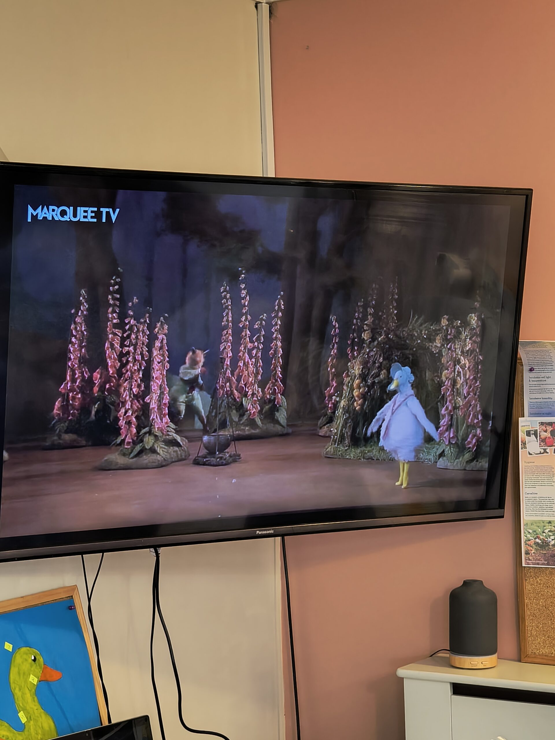Screen showing ballet 1 scaled