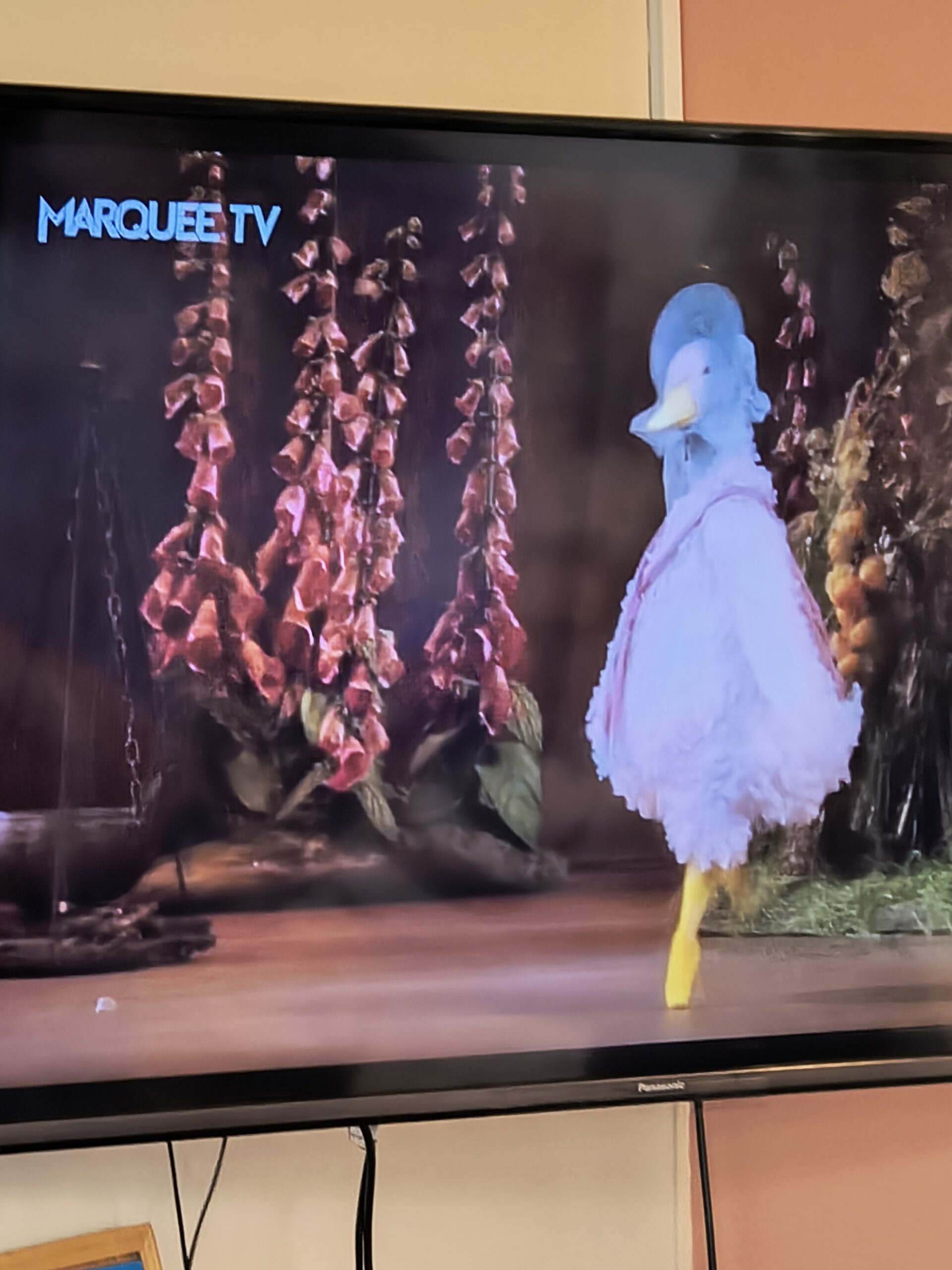 Screen showing ballet 2 scaled