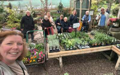 Garden Centre Trip Inspires New Planting Plans at Cambrian Lodge