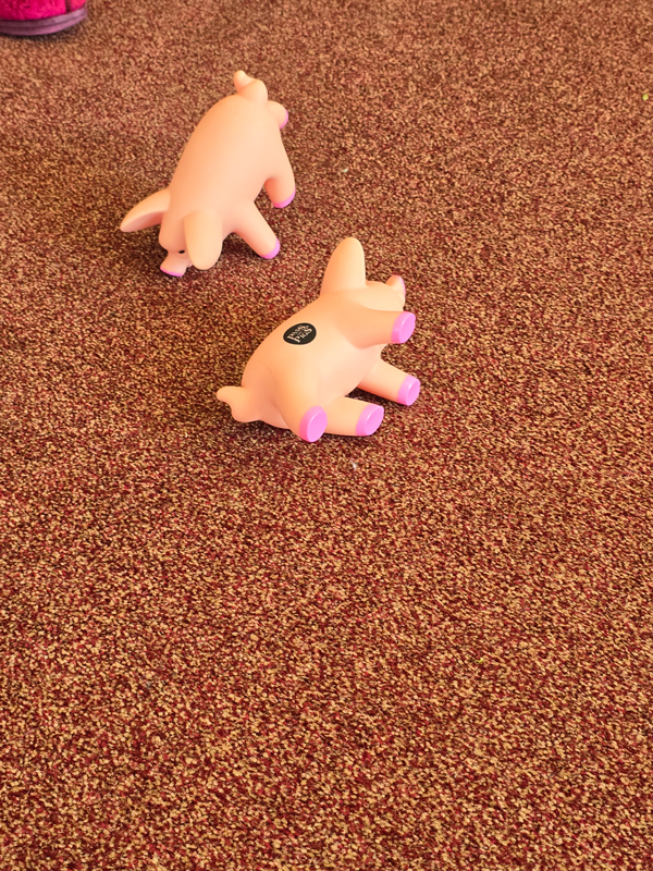 The two pigs on the floor the only snout landing 