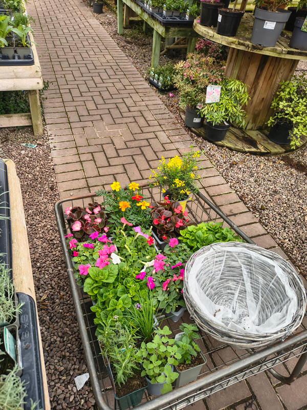 Trolley filled with plants for the garden
