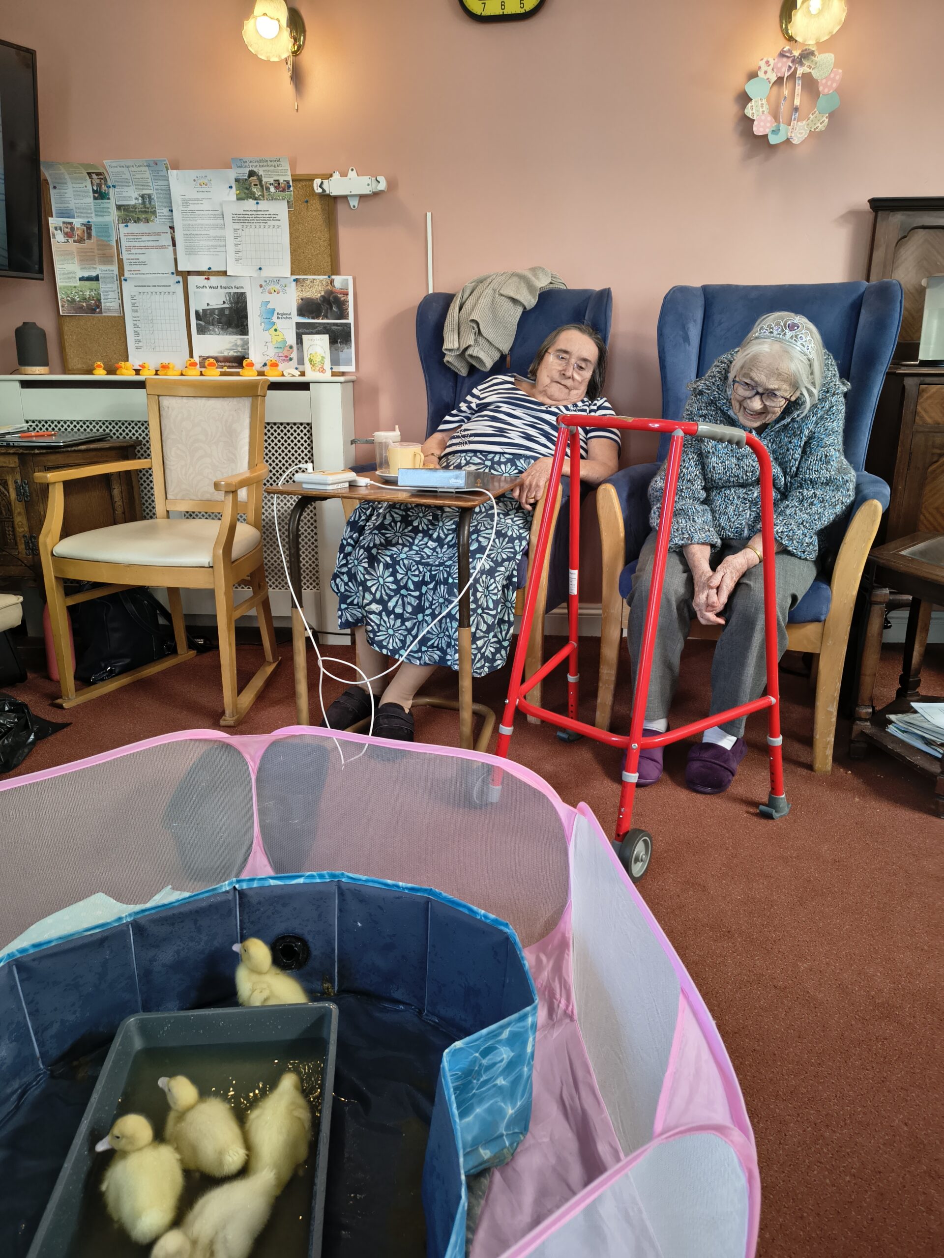 Two female residents watching the ducklings in the water scaled
