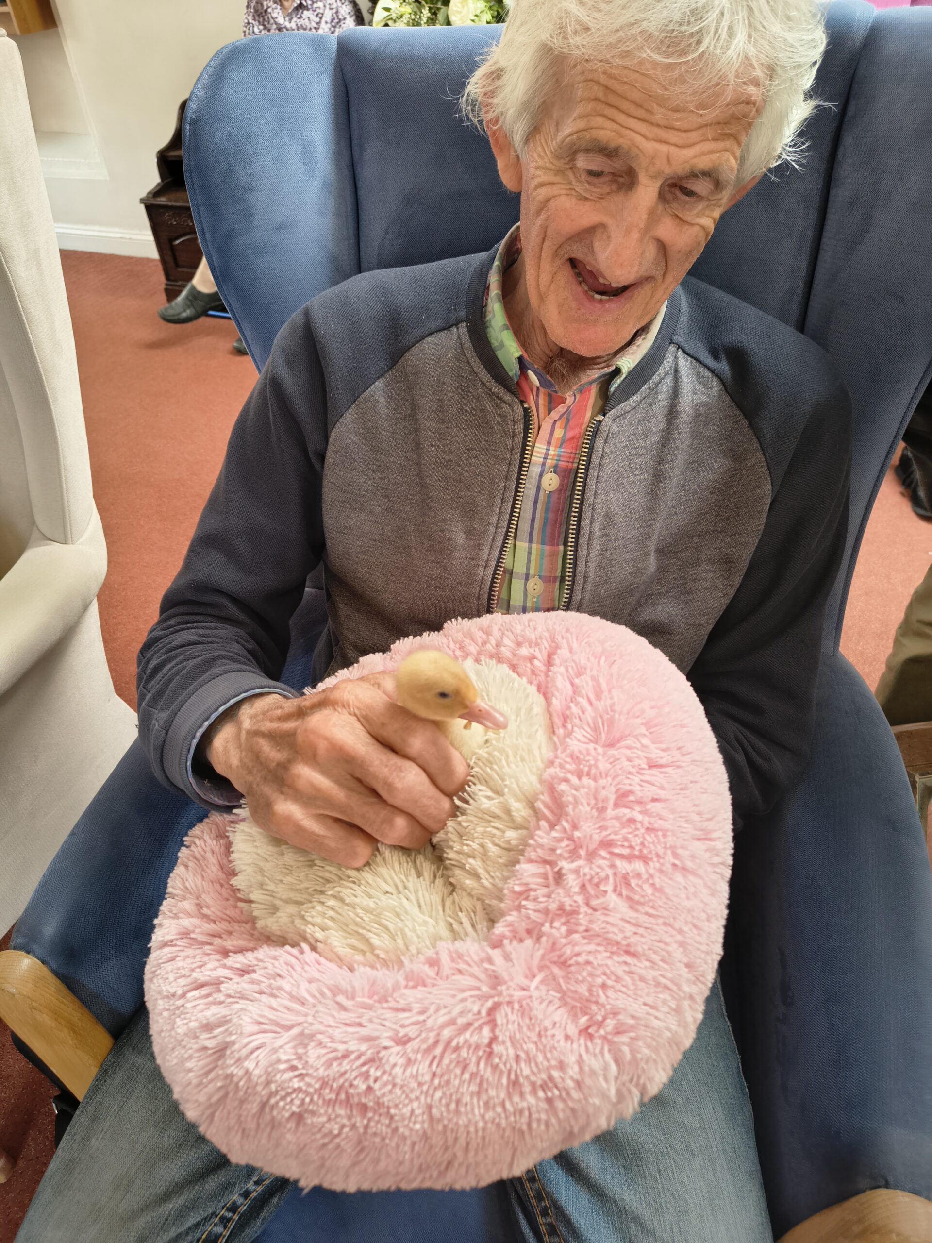 ale resident holding a duckling on the pink fluffy pillow scaled